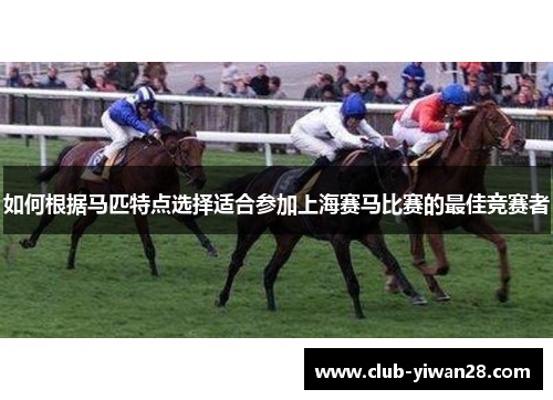 如何根据马匹特点选择适合参加上海赛马比赛的最佳竞赛者 如何根据马匹特点选择适合参加上海赛马比赛的最佳竞赛者