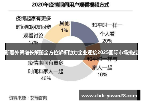 新春外贸增长策略全方位解析助力企业迎接2025国际市场挑战