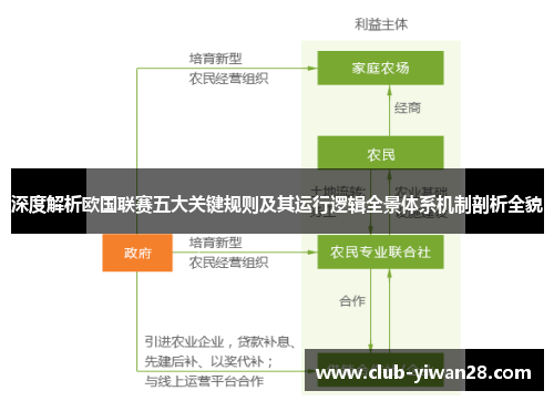 深度解析欧国联赛五大关键规则及其运行逻辑全景体系机制剖析全貌